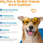 Pet Wellbeing Itch & Scratch Chewies for Dogs - Supports Healthy Itch Response to Occasional Skin Allergies, Skin Health, Chinese Pearl Barley, Phellodendron - Veterinarian-Formulated 90 Soft Chews