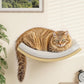 Cat Window Perches, Curved Cat Wall Beige Bed and 2 Floating Wall Steps, Wall Mounted Climbing Shelves for Sleeping, Playing, and Lounging