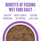 Weruva B.F.F. OMG - Best Feline Friend Oh My Gravy!, Best Day Eva! with Beef & Salmon in Gravy Cat Food, 2.8oz Can (Pack of 12)
