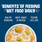 Weruva Classic Cat Food, Grandma?S Chicken Soup with Chicken Breast & Veggies, 5.5Oz Can (Pack of 24)