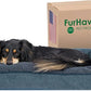 Furhaven Pillow Dog Bed for Medium/Small Dogs w/ Removable Bolsters & Washable Cover - Sherpa & Chenille Sofa - Orion Blue, Medium
