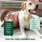 Sunny & Honey Carpet Deodorizer Powder - 20 Oz, Spring Mint - Odor Eliminator & Rug Freshener Powder for Pets & Kids