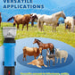 Horse Clippers 690W 28000RPM, Heavy Duty Horse Grooming Kit, Professional Livestock Clippers with 6 Speed Adjustable for Shaving Horse Pony Cattle Goat Large Dogs and Others