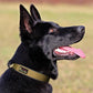 Plutus Pet Tactical Dog Collar, Reflective, Adjustable Heavy Duty Dog Collar, Soft Padded and Comfortable, for Small Medium and Large Dogs (Brown, XS)