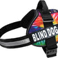 Doggie Stylz Blind Dog Harness No Pull No Escape Dog Vest for Blind Dogs Adjustable Vest with Handle Blind Dog Accessories and Patches for Training and Mobility