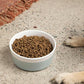 Waggo Dipper Ceramic Dog Bowl for Small and Large Breeds - Heavyweight and Durable Pet Food and Water Dish Crock, Dishwasher Safe, Modern (Cloud, Small)