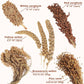 Natural Ear of Grain Flower&Herb Bedding Mate Habitat Decor, Adding Fun Hamster Accessories for Hamsters Gerbils Lemming