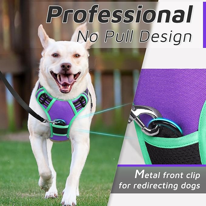Eagloo Dog Harness Small Sized Dog, No Pull Service Vest with Reflective Strips and Control Handle, Adjustable and Comfortable for Walking, No Choke Pet Harness with 2 Metal Rings, Purple & Green, S