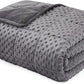 L'AGRATY Weighted Blanket for Adult - 60"x80" 15lbs Minky Dots Heavy Blanket with Glass Beads: Soft Breathable for All-Season Summer Fall Winter Thick Comfort for Sleeping