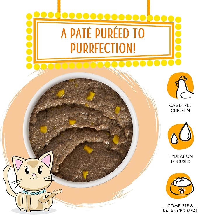 Weruva Wet Cat Food, Who Wants to be a Meowionaire with Chicken and Pumpkin Pate, 3oz Can, Pack of 12