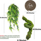 BNOSDM Reptile Plants,Flexible Rainforest Vines with Moss,Bendable Jungle Climbing Vines,Terrarium Artificial Plants Decor for Bearded Dragon,Hermit Crab,Snake,Geckos,Chameleon,Lizard