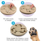 Outward Hound by Nina Ottosson Dog Worker Treat Puzzle Enrichment Toy, Level 3 Advanced, Tan