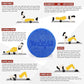 Yes4All Medium Firm Round PE Foam Roller 12, 18, 24, 36 Inches for Pilates, Yoga, Stretching, Balance & Core Exercises