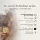 qìsane Honeysuckle Tea with Chinese Medicinal Plants - Dried Honeysuckle Flowers, Self Heal Spike, Lemon Verbena & Monkfruit to Help Support Detox & Ease Discomfort - 10 sachets (~30 cups)
