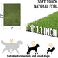 Ottomanson Artificial Grass Puppy Potty Training Pad, 2' x 2'7" Reusable Pee Pad for Small Pets and Dogs
