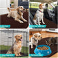 OLANLY Dog Door Mat Set 4-Piece 24x16, Absorbs Moisture and Dirt, Absorbent Non-Slip Washable Doormat, Quick Dry Chenille Mud Mat for Dogs, Entry Indoor Entryway Carpet for Inside Floor, Brown