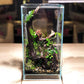 Fzone 2 Gal Nano Rimless Aquarium Low Iron Fish Tank NovaClear Ultra-White Translucent Glass Verso Series Nano Shallow Pond Levitating Floating Air Aquarium(A16-H30)