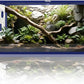 120 Gallon Bearded Dragon Tank,48" x 24" x 24" Reptile Tank with Sliding Door Top Screen Ventilation, Front Opening Reptile Enclosure for Easy Maintenance