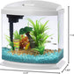 Aqueon LED MiniBow Aquarium Kit with SmartClean Technology, White, 2.5 Gallon