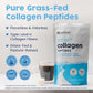 NativePath Collagen Peptides Protein - Hydrolyzed Type 1 & 3 Collagen Powder for Skin, Hair, Nails - 15.9 oz (45 Servings)