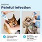Vetnique Oticbliss Medicated Dog Ear Infection Treatment, Antiseptic Ear Cleaner for Cat & Dog Ear Cleaning Solution with Chlorhexidine & Ketoconazole (12oz Flush)