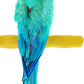 Comfort Grip Safety Perch for Bird Cages - Pedicure Perch for Birds to Keep Nails and Beaks in Top Condition - Safe Easy to Install Bird Cage Accessories- L 13"
