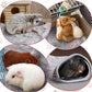 Reginary 4 Pcs Waterproof Guinea Pig Blankets Washable Small Animal Fleece Bedding Absorbent Guinea Pig Cage Liners Reusable Pet Pee Pad Sleep Mat for Hamster Ferret(Adorable Paw,12 x 12 Inch)