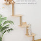 Cat Tree Wall Mounted with 4 Levels Shelves, 73" Wood Corner Tower Inside Kitten Scratching Post for Climbing,Perching and Lounging (Right to Left)