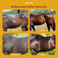 Coat Care Powder for Horses 8.4oz | Made in USA | Equine Skin Conditioner for Sweet Itch, Rain Rot & Skin Issues | Effective Dry Horse Shampoo & Daily Preventative | Herbal & Natural Formula