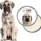 The Blissful Dog Anatolian Shepherd Nose Butter, 2OZ