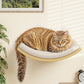 Cat Wall Shelves and Cats Window Perch – Natural Wood 4-Piece Set with Foam-Padded Curved Bed and Felt Steps, Space-Saving Wall Mounted Design