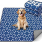 LOOBANI Reusable Pee Pads for Dogs: 2 Pack 36"x 41" Super Absorbent Washable Puppy Pads Non-Slip Whelping Pad Dog Playpen Mat, Waterproof & Leakproof Dog Training Pads for Floor, Crate, Potty