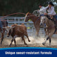 Farnam Endure Sweat-Resistant Fly Spray for Horses, Protects Against Lyme Disease, 15 oz