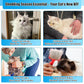 2PCS Flea Comb for Cats & Dogs – Magic Self-Cleaning Cat Grooming Brush with Stainless Steel Teeth, Cat Combs for Fleas and Ticks, Indoor Pets, Fine Tooth Comb for Kittens