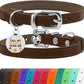 BRONZEDOG Leather Cat Collar with Removable Bells Non Breakaway Kitten QR Tag for Girl Boy (9" - 12" Cats/Mini Dogs, Brown & Silver)
