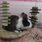 Rabbits Chew Toys Bunny Treats Natural Wood Timothy Hay Grass Chew Toys Treats for Hamster Chinchilla Guinea Pigs 6pcs