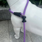 Slip Lead Dog Leash，Strong Nylon Rope Leash and Padded Handle,No Pull Outdoor Walking Training Lead for Small Medium Large Dogs(Purple,1/2"×4ft)