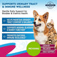 Beloved Pets Cat & Dog Urinary Tract Infection Treatment & Natural UTI Medicine Cranberry-Kidney+Bladder Support Supplement - Best Prevention Incontinence, Bladder Stones