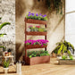 SUNYRISY 4 Tiers Vertical Wooden Raised Garden Bed Outdoor, Freestanding Garden Planter Box Stand for Planting Herbs Flowers Vegetables Outdoor Gardening