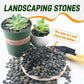 5 lbs Mexican Beach Pebbles, 0.3-0.6 Inch Small Pebbles for Pots Indoor Plants, Succulent, Vase, Fish Tank, Decorative River Rocks for Garden Landscaping, Home Decor, Outdoor Paving, Grey
