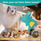 3pcs Safe Cat Rope Toy with Catnip,Teeth Clean Toy for Cat, Cat Chew Toys for Indoor Cat,Kitten Interactive Toys