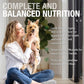 K9 Natural Wet Dog Food Pate, Lamb Feast, 6 Oz Cans (Pack of 12), Grain Free, Made in New Zealand with Grass-Fed, Free-Range Lamb, Single Source, Limited Ingredient