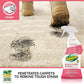 OdoBan Professional Cleaning and Odor Control Solutions, Ready-to-Use Biostain and Odor Remover, Made in the USA, 32 oz Spray Bottle and 1 Gallon