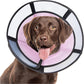 Soft Dog Cone Collar, Comfortable Pet Recovery Neck Collars After Surgery for Large Medium Dogs, Plastic Breathable Elizabethan Dog Head Circle Stop Licking, Adjustable Cones 25cm /10" Long (L Pink)