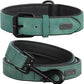 Didog Soft Padded Leather Dog Collar and Leash Set, Adjustable Dog Lead and Collar Set with Metal Buckle, Breathable Pet Collars with 4FT PU Leather Leash for Small Medium Dogs, Green, M