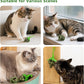 Cat Catnip Toys,2Pcs Catnip Ball for Cats,Toys for Indoor Cats,Cat Chew Exercise Toy for All Breeds and Species,Enhances Oral and Dental Health