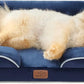Bedsure Orthopedic Dog Beds for Small Dogs - Washable Small Dog Cat Bed Waterproof, Comfort Pet Couch Sofa with Washable Removable Cover, Pets Bed with Nonskid Bottom, Blue Navy, 24"