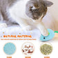 Catnip Toy - 6Pcs Cats Mouse Plush Cat Toys Realistic Cute Kitten Mice Filled Catnip for Cat Chew Toy1