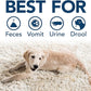 Simple Solution Stain & Odor Eliminator for Pets, Carpet Deodorizer, Enzyme Pet Odor Eliminator for Home, Stain Remover for Cat & Dog Pee, Urine Destroyer, Carpet Cleaner Spray, Gallon
