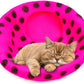 Woolygon Premium Felt Cat Cave Bed - Polka Dot Series - Wool Kitty Beds Handcrafted Kitten Caves Bed for Indoor Cats - Eco-Friendly Merino Wool, Foldable Cat Hideaway Cat Houses (Pink/Black Dots)